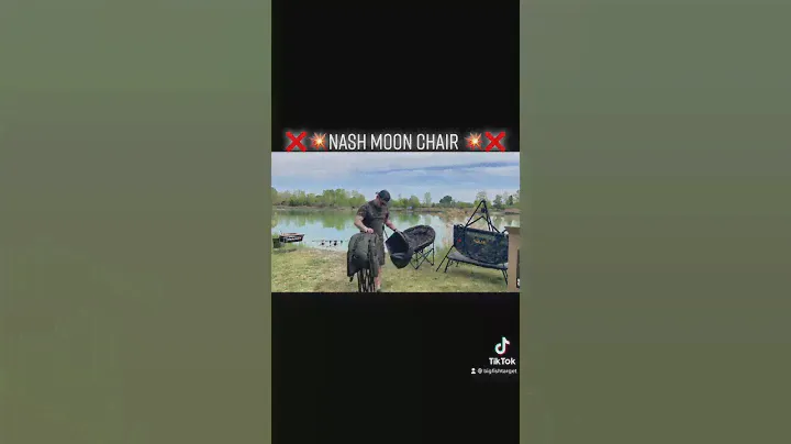 Nash Moon Chair